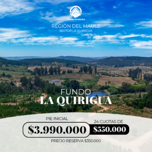 Fundo La Quirigua